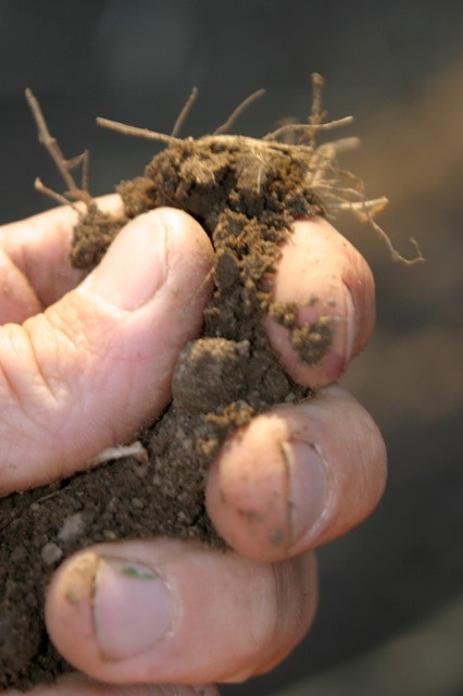 SoilinHand