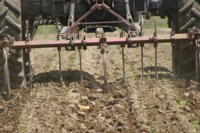 tractorcultivating