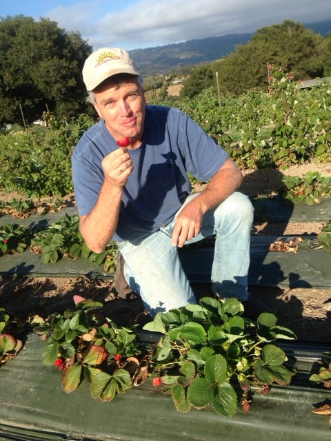 Tom with Strawberry