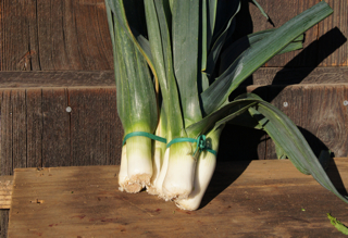 How to tell Spring Onions, Leeks and Green Garlic apart – Live