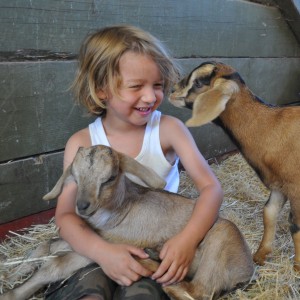 boy_with_goats